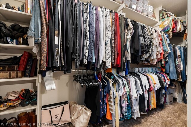 walk in closet featuring carpet