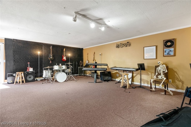 misc room featuring crown molding, rail lighting, carpet flooring, a textured ceiling, and baseboards