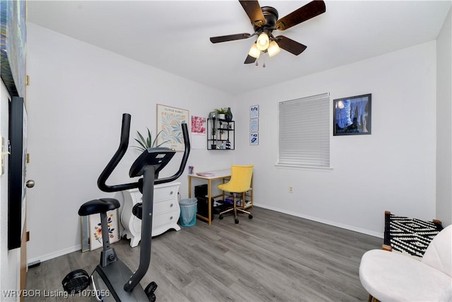 exercise room with ceiling fan and hardwood / wood-style floors