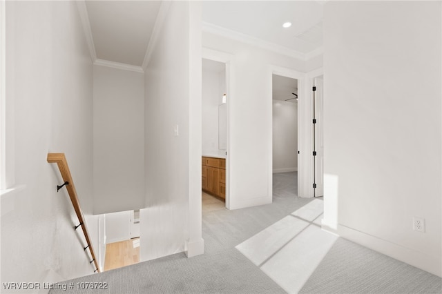 carpeted spare room featuring ceiling fan and ornamental molding