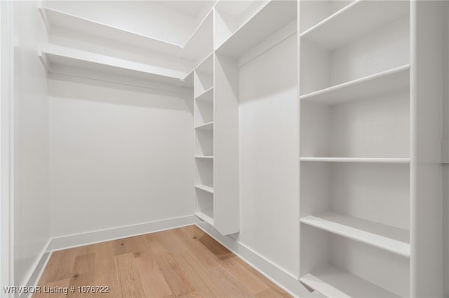 walk in closet featuring wood-type flooring