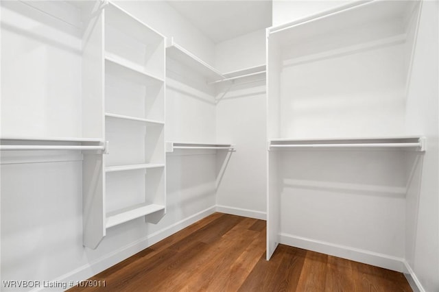 spacious closet featuring wood-type flooring