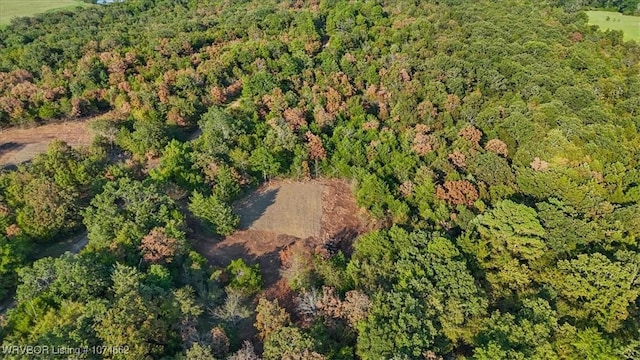 LOT3 Latham School Rd, Shady Point, OK 74956 - photo 7
