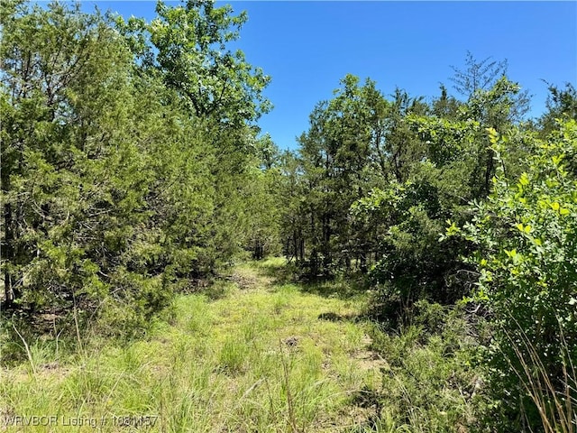 52083 Blemmel Rd, Talihina, OK 74571