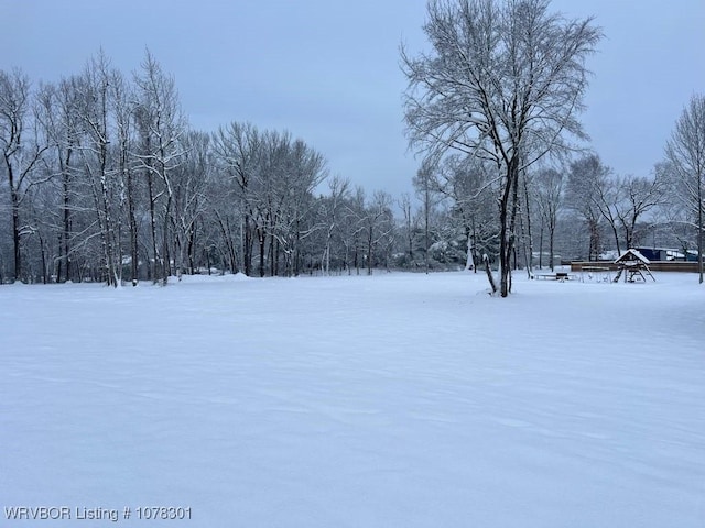 view of yard covered in snow