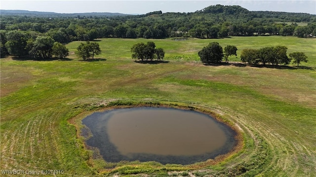 drone / aerial view with a water view and a rural view