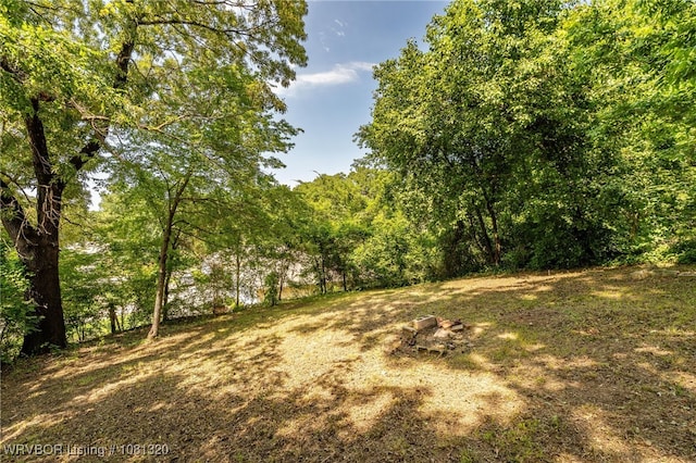 1501 S R St, Fort Smith, AR 72901 - view of wooded area