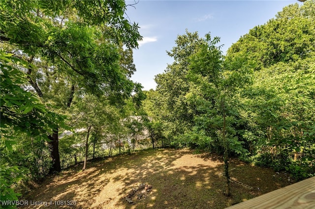 1501 S R St, Fort Smith, AR 72901 - view of yard