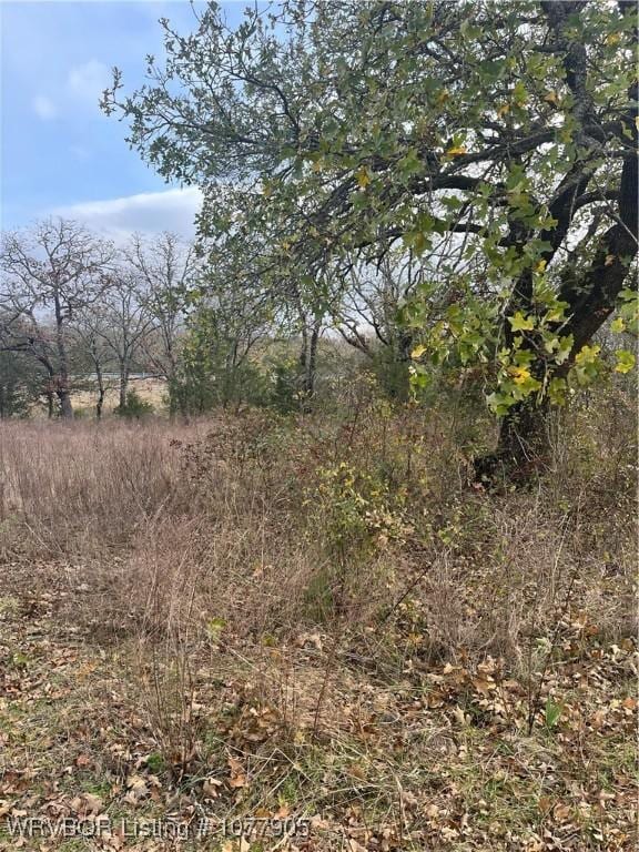 182328 N 4170th Rd, Moyers OK, 74557 land for sale