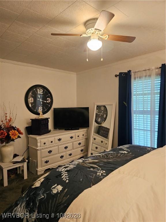 412 Wahl St, Paris, AR 72855 - photo 9