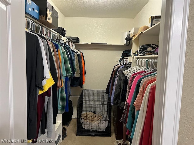 1610 Tiger Lily Ct, Greenwood, AR 72936 - view of spacious closet