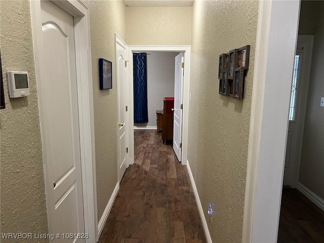 1610 Tiger Lily Ct, Greenwood, AR 72936 - hall with a textured wall and dark wood-style floors