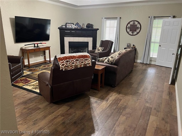 1610 Tiger Lily Ct, Greenwood, AR 72936 - living area featuring crown molding, dark wood-type flooring, a fireplace, and plenty of natural light