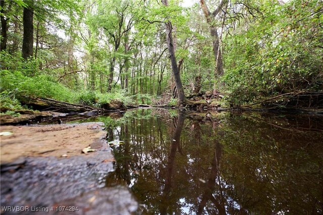 9943 Rough Branch Rd, Mulberry, AR 72947