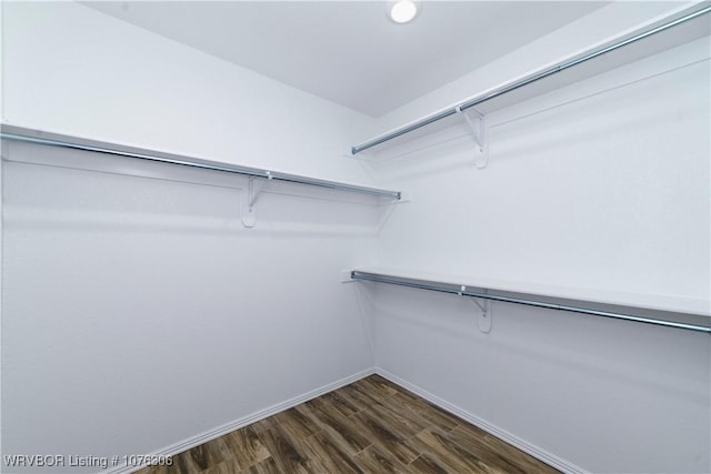 spacious closet with dark wood-type flooring