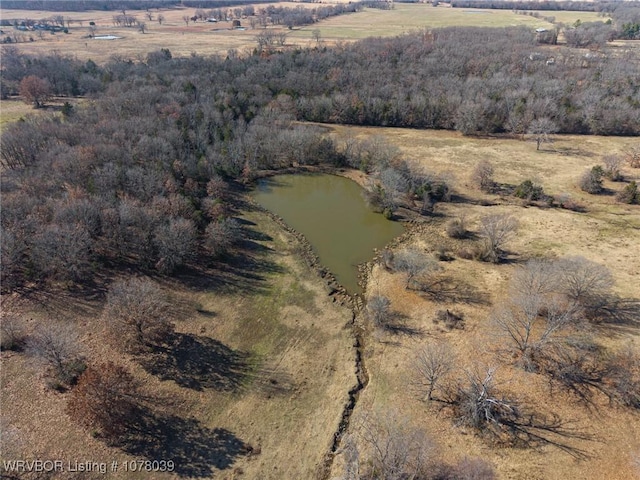 drone / aerial view featuring a rural view and a water view