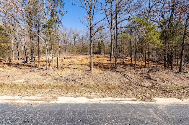 1042 River Overlook Loop, Van Buren AR, 72956 land for sale