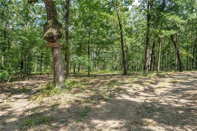 1704 Missouri Rd, Charleston, AR 72933 - photo 34
