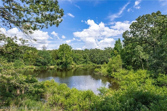 1704 Missouri Rd, Charleston, AR 72933 - photo 2
