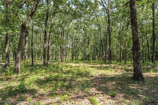1704 Missouri Rd, Charleston, AR 72933 - photo 32
