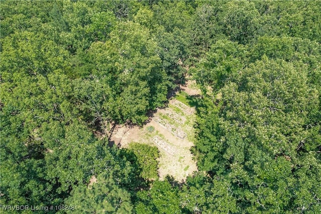 1704 Missouri Rd, Charleston, AR 72933 - photo 31