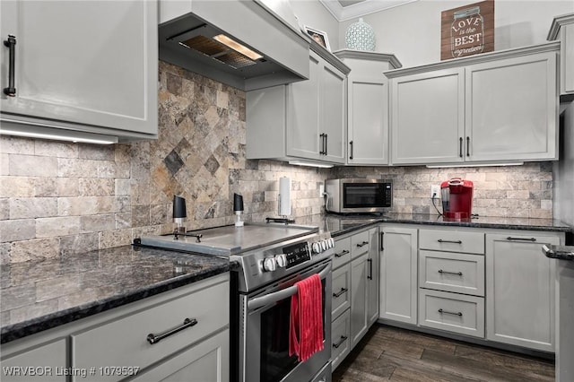 kitchen with premium range hood, stainless steel appliances, dark wood-style floors, and decorative backsplash