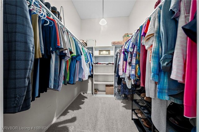 1318 Taos Dr, Van Buren, AR 72956 - spacious closet with carpet