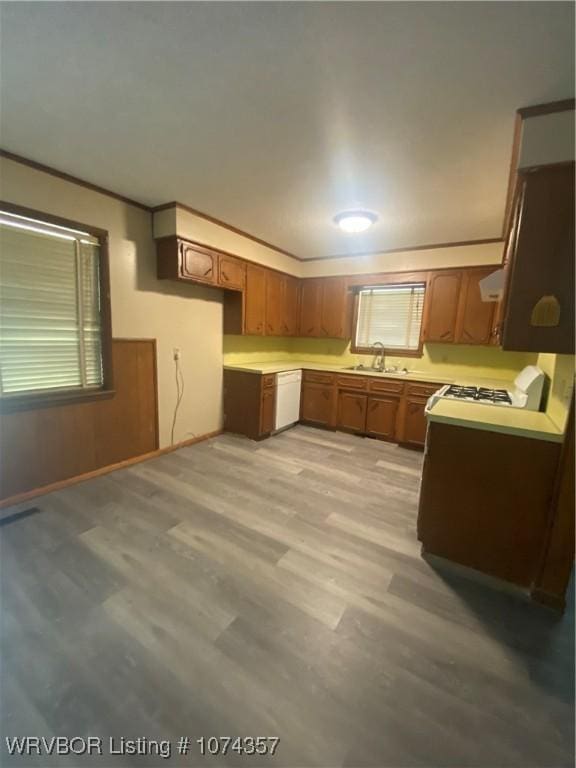 kitchen featuring ventilation hood, sink, light wood-type flooring, and crown molding