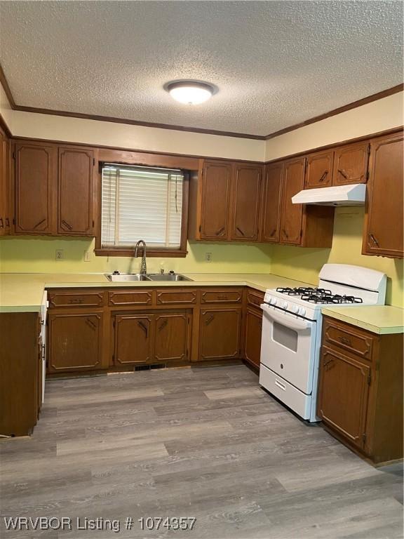 kitchen featuring crown molding, white gas stove, light hardwood / wood-style flooring, and sink