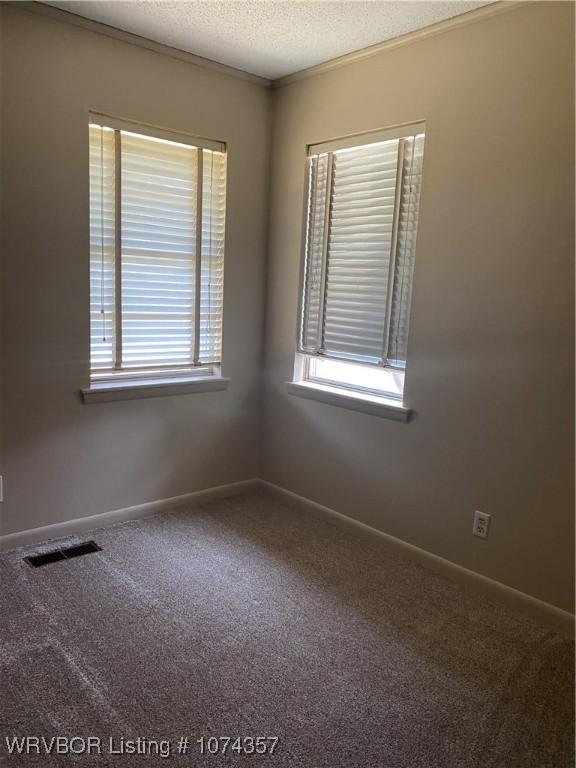 carpeted empty room featuring a textured ceiling and crown molding