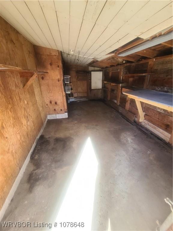 basement with wood walls