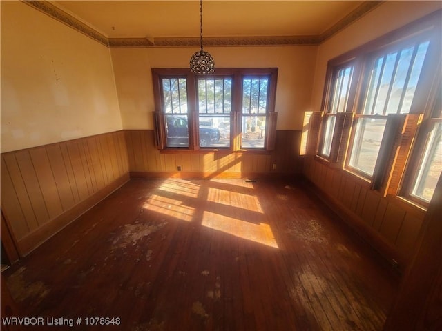 unfurnished dining area with wood-type flooring and plenty of natural light