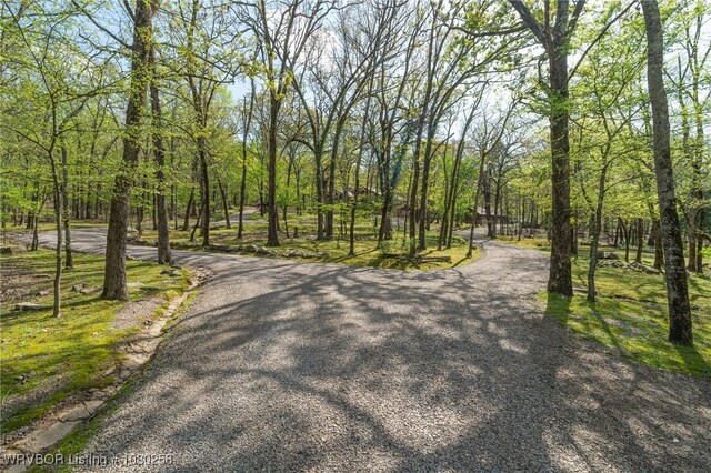 517 Ross Hampton Rd, Hackett, AR 72937 - view of street