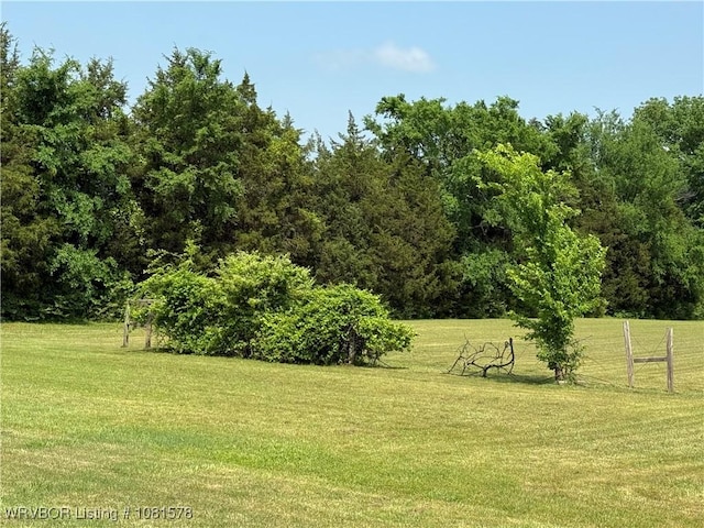 417 N Rattlesnake Rd, Charleston, AR 72933 - view of grassy yard