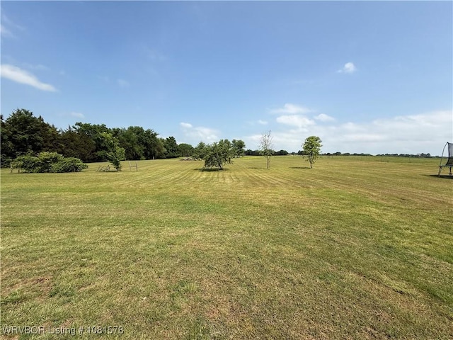 417 N Rattlesnake Rd, Charleston, AR 72933 - view of green lawn