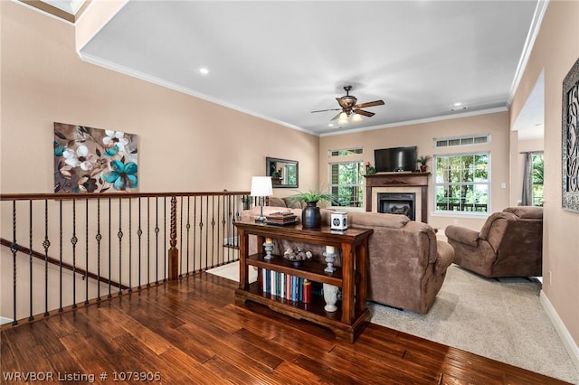 living room featuring ceiling fan, hardwood / wood-style flooring, and ornamental molding