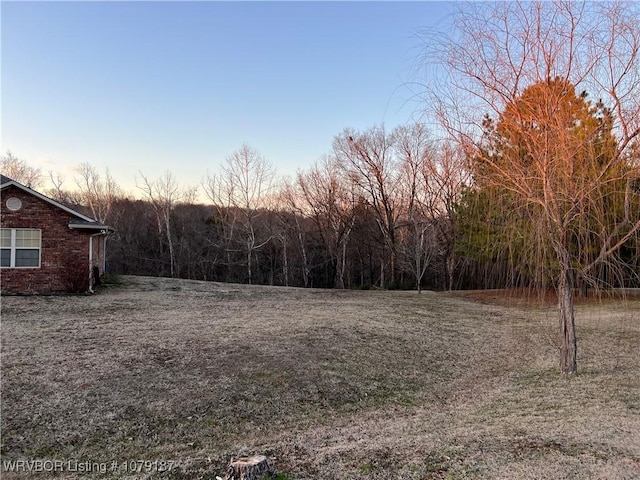 view of yard at dusk