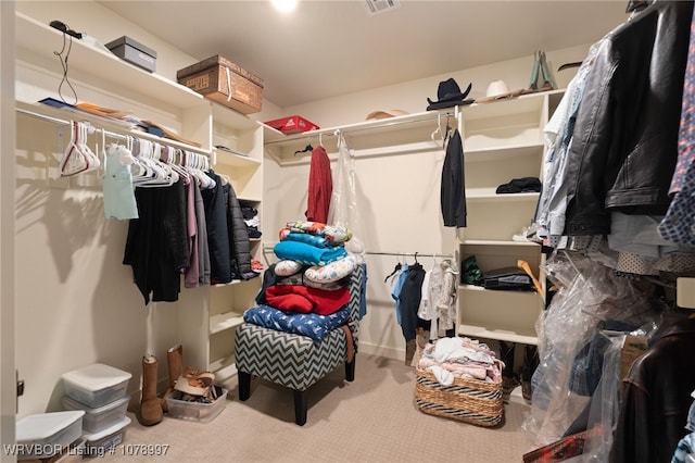 spacious closet featuring carpet flooring