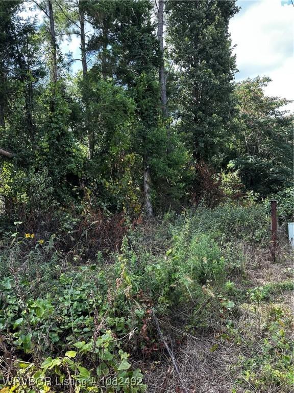 TBD Rudy Rd, Van Buren, AR 72956 - photo 2