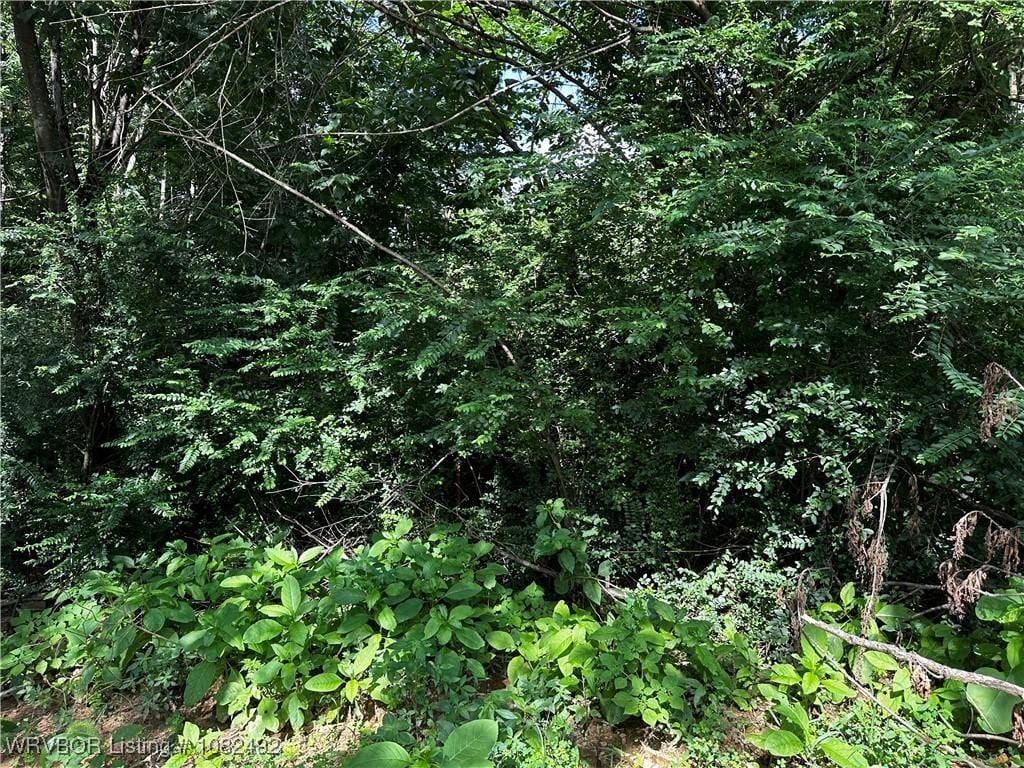 TBD Rudy Rd, Van Buren, AR 72956 - photo 3