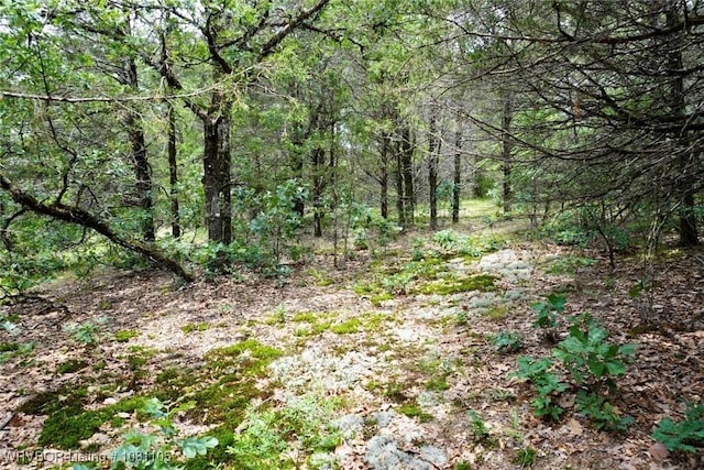 6139 Shaver Rd, Lavaca, AR 72941