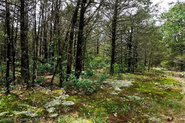 6139 Shaver Rd, Lavaca, AR 72941