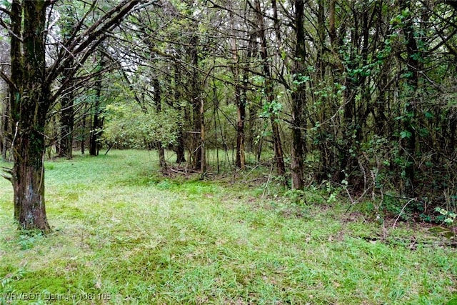 6139 Shaver Rd, Lavaca, AR 72941