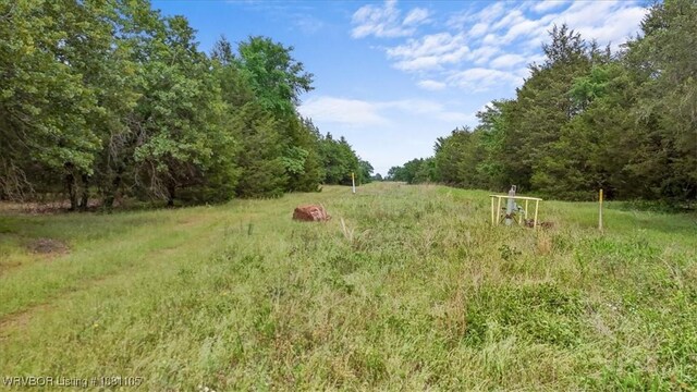 6139 Shaver Rd, Lavaca, AR 72941