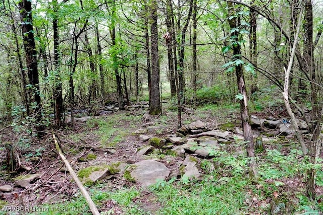 6139 Shaver Rd, Lavaca, AR 72941