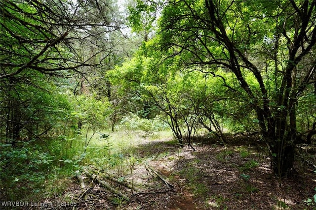 6139 Shaver Rd, Lavaca, AR 72941