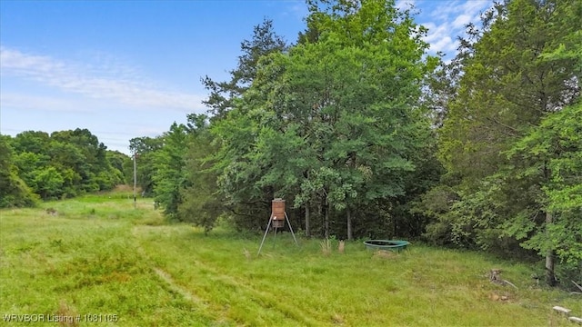 6139 Shaver Rd, Lavaca, AR 72941