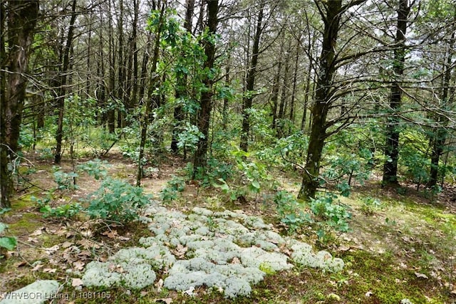 6139 Shaver Rd, Lavaca, AR 72941