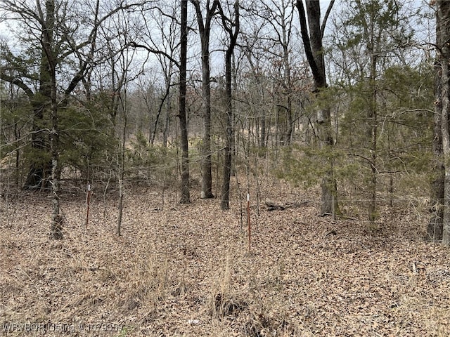 TBD Catfish Rd, Booneville AR, 72927 land for sale