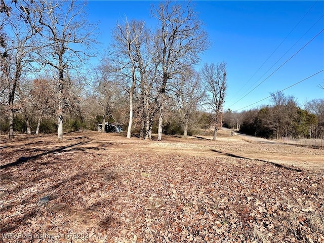 306 Ellis Loop, Pocola, OK 74902 - view of yard
